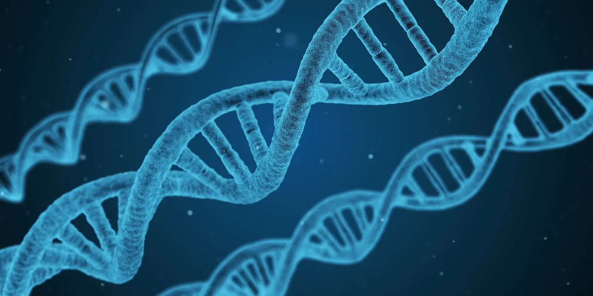 Retatrutide Australia 2026: The Next-Generation Weight Loss Peptide Explained